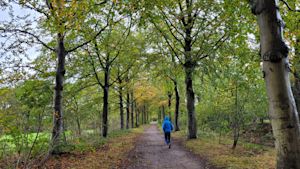 meteo tours vent Weekverwachting: de paraplu blijft nodig!