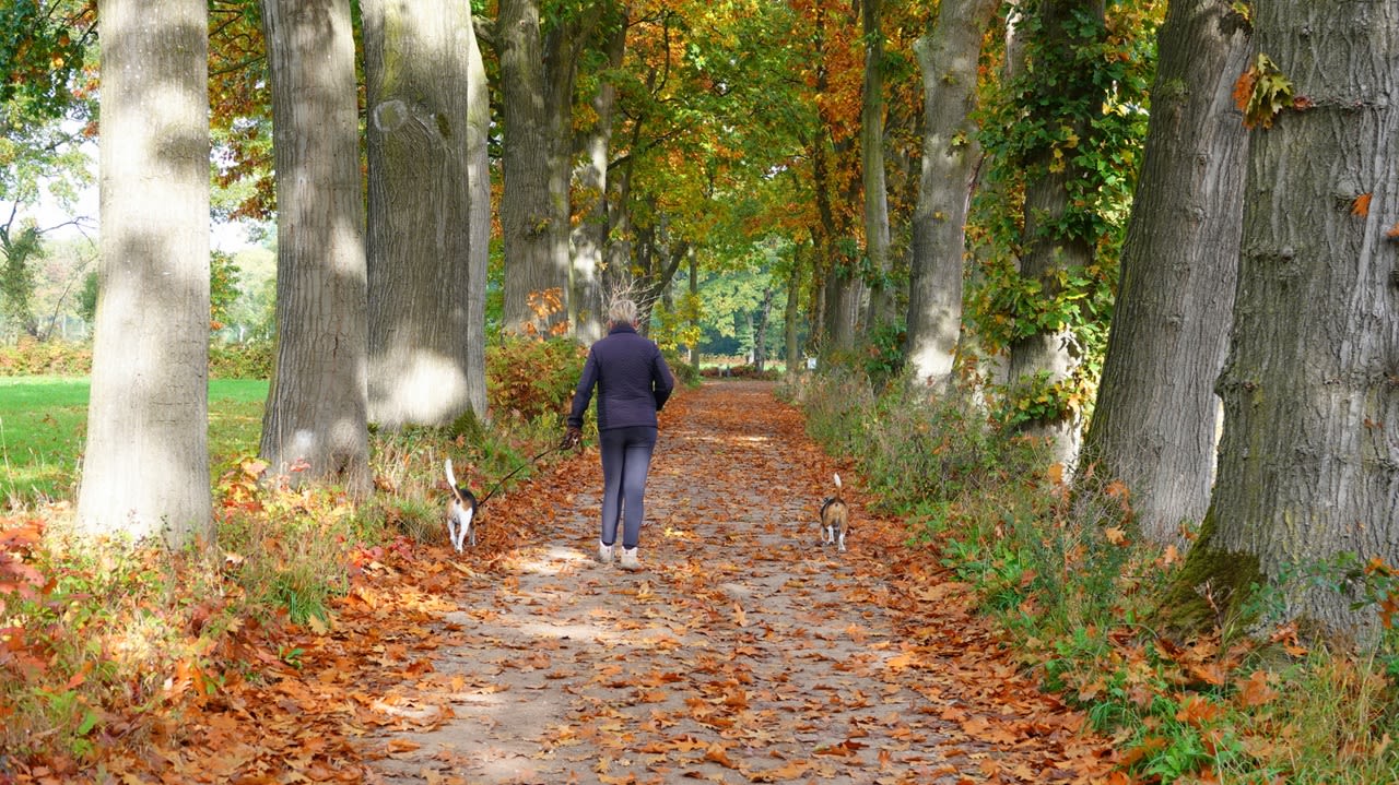 We komen dieper in de herfst. Foto: Ben Saanen
