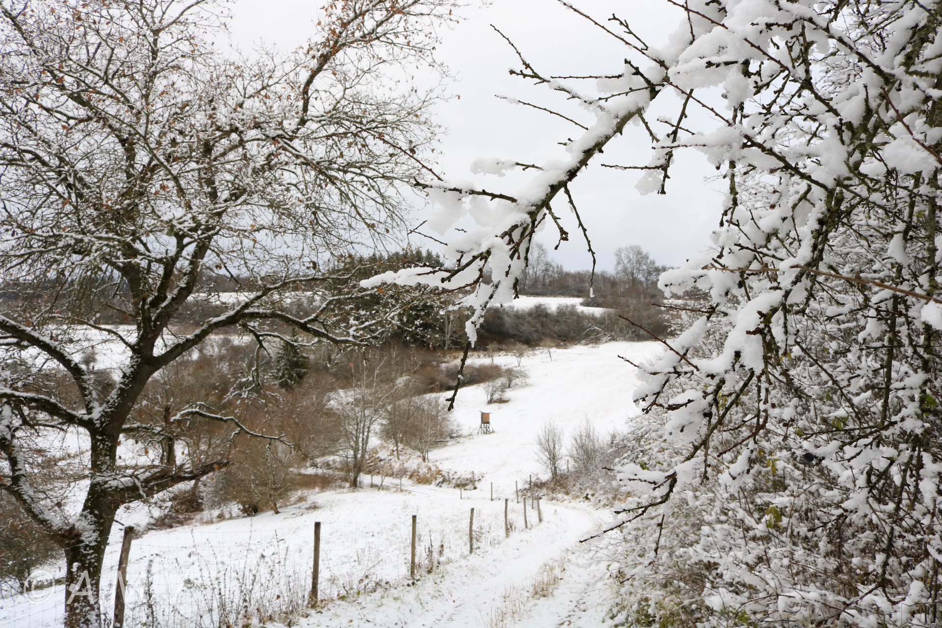 Sneeuw op takken en de grond in heuvellandschap