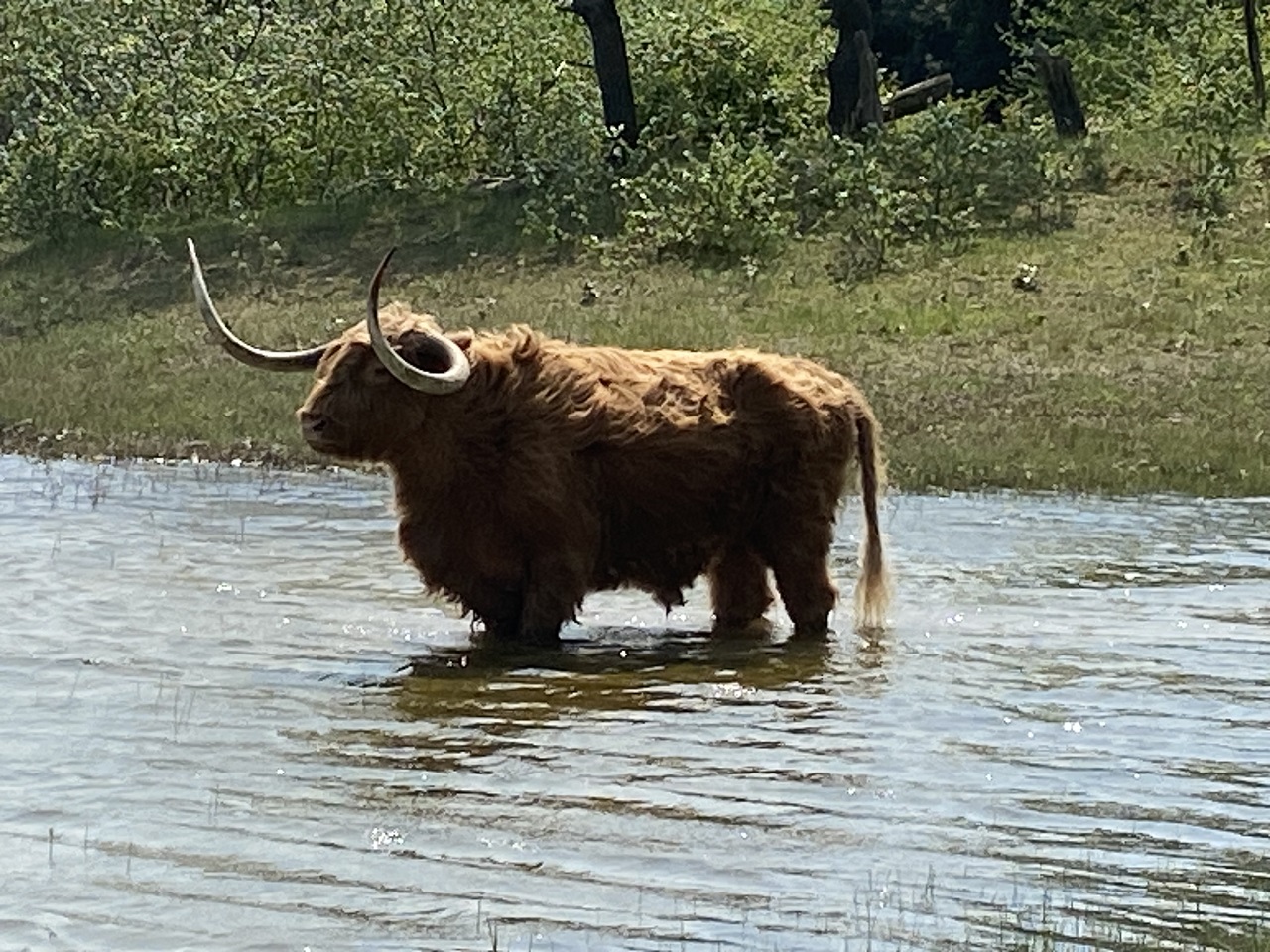 Verkoeling zoeken op zomerse warme dag. Foto: Jeroen Gotz