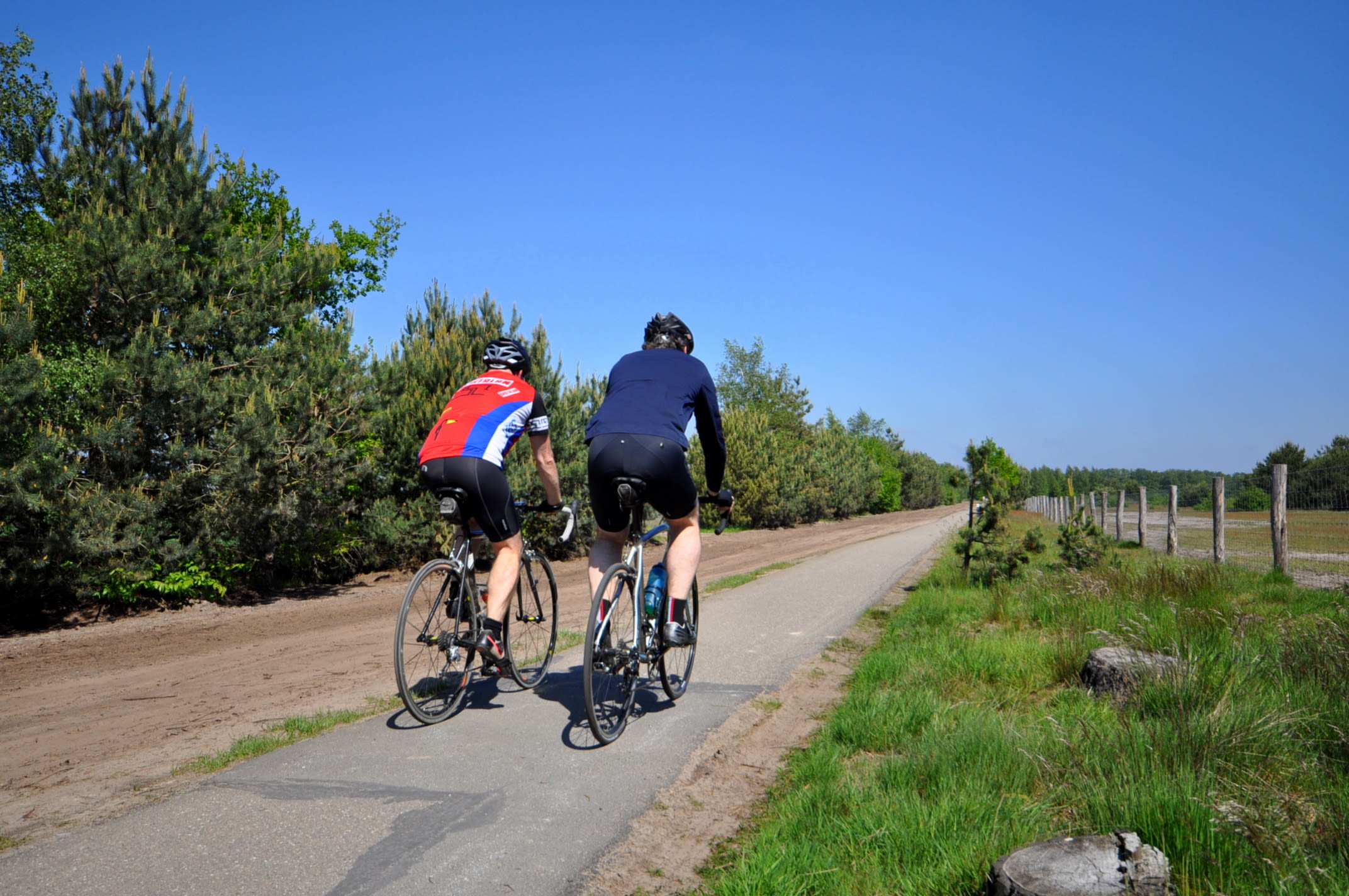 Wielrenners fietsen over fietspad van asfalt in de Kempen nabij Budel