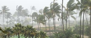 Caraïbisch gebied: grote overlast verwacht door tropische storm Melissa