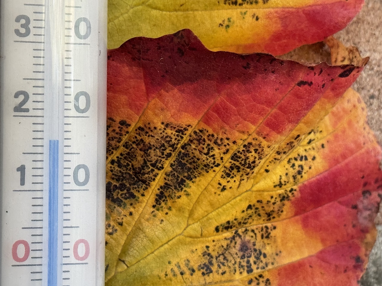 Het was niet eerder zo warm in het jaar als vandaag. Foto: Marijke van der Sluijs