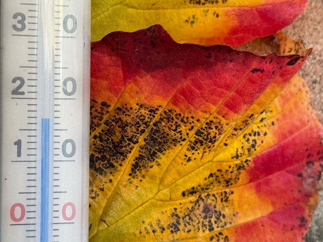 Het was niet eerder zo warm in het jaar als vandaag. Foto: Marijke van der Sluijs