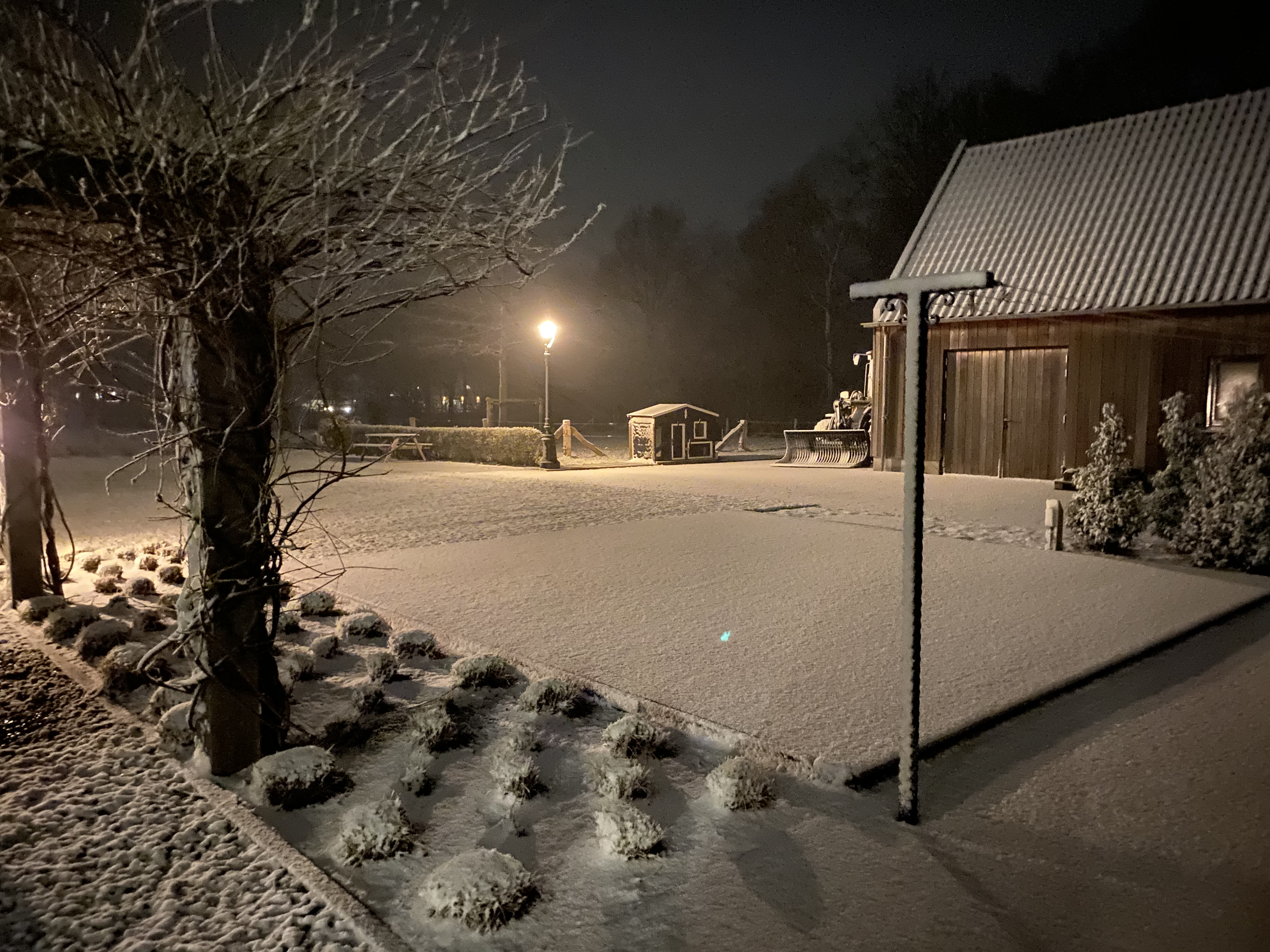 sneeuw, nacht, wit landschap