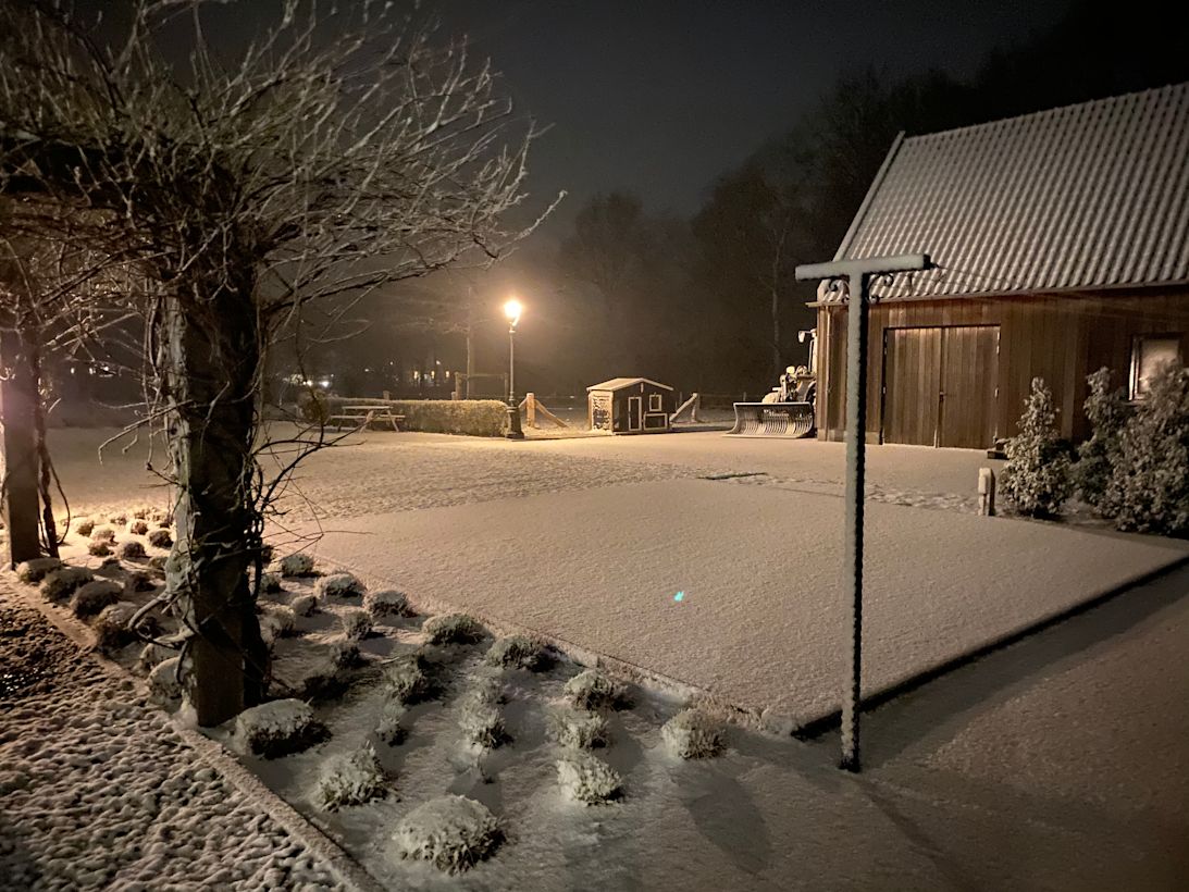 sneeuw, nacht, wit landschap