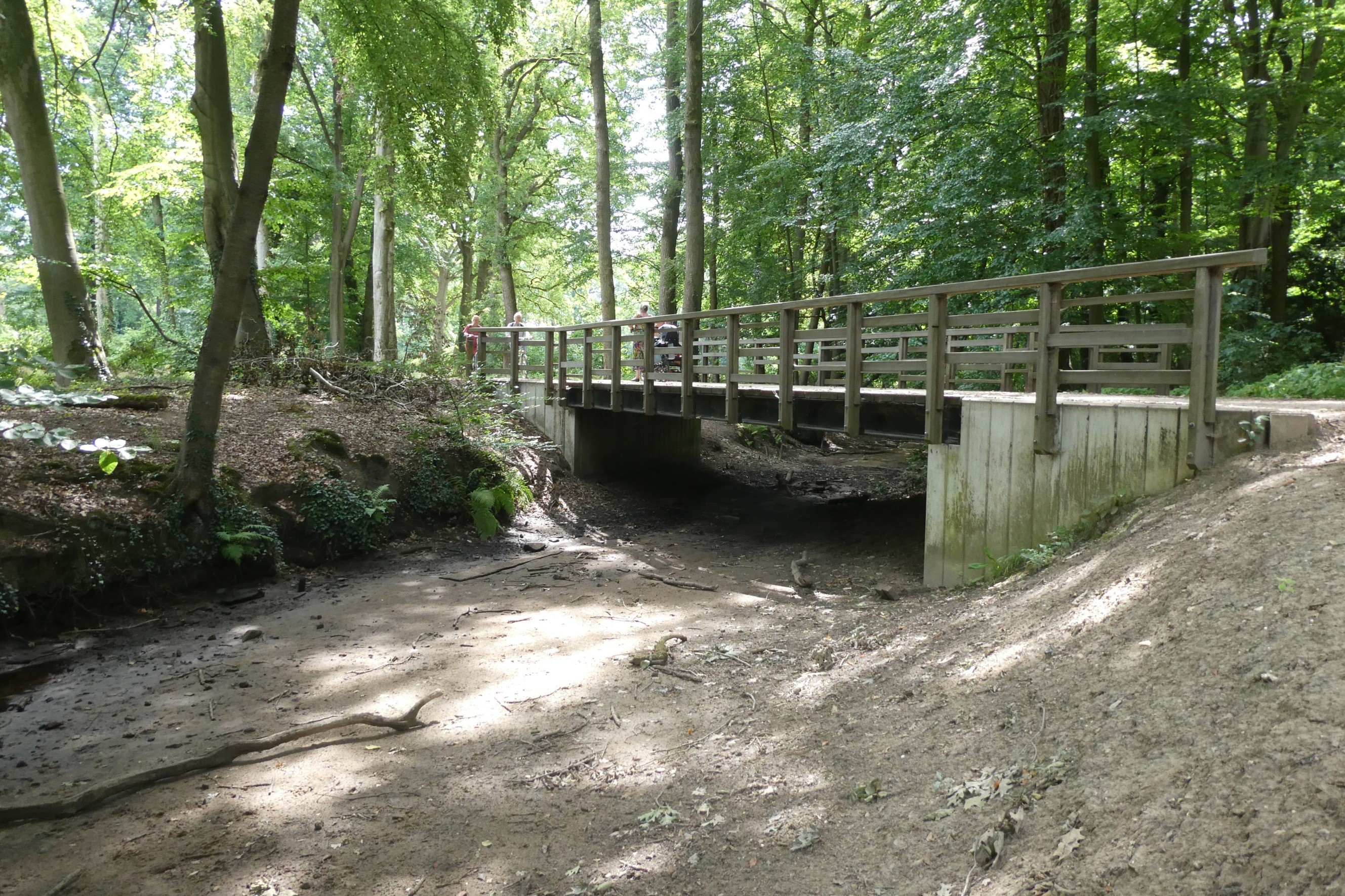 De droogte is nog goed zichtbaar. Foto: Willy Bonnink-Naves