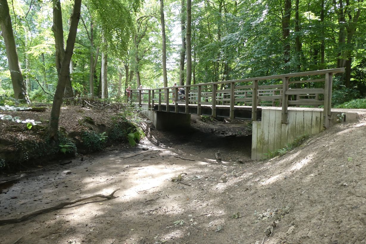 De droogte is nog goed zichtbaar. Foto: Willy Bonnink-Naves