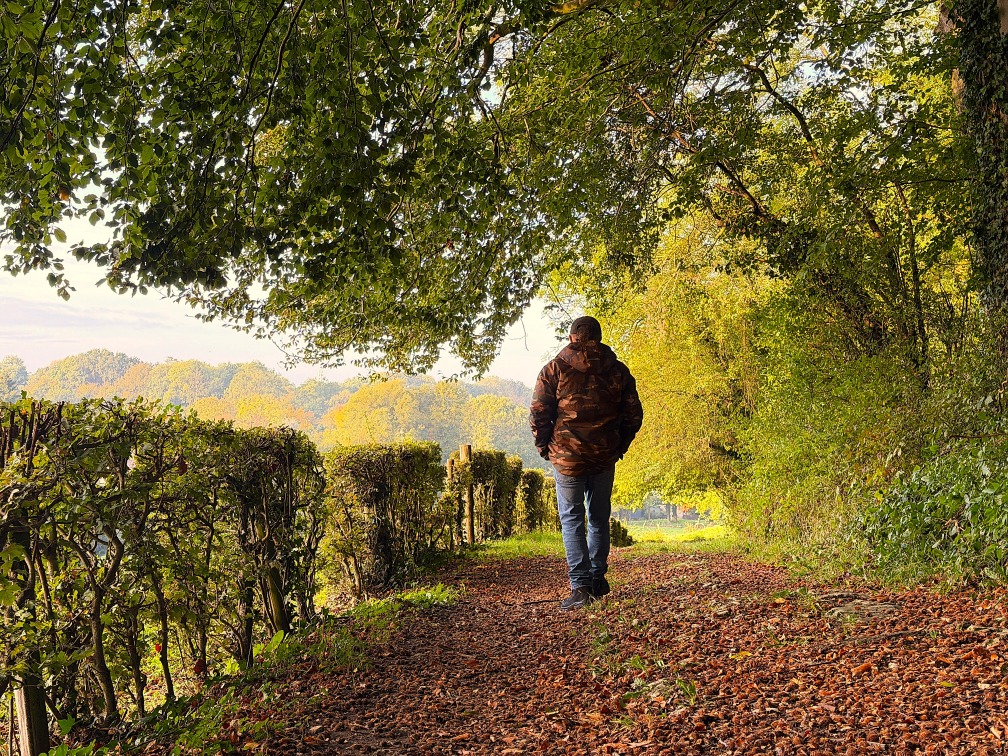 Maandverwachting: blijft het zacht herfstweer?