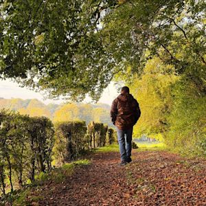 Maandverwachting: blijft het zacht herfstweer?