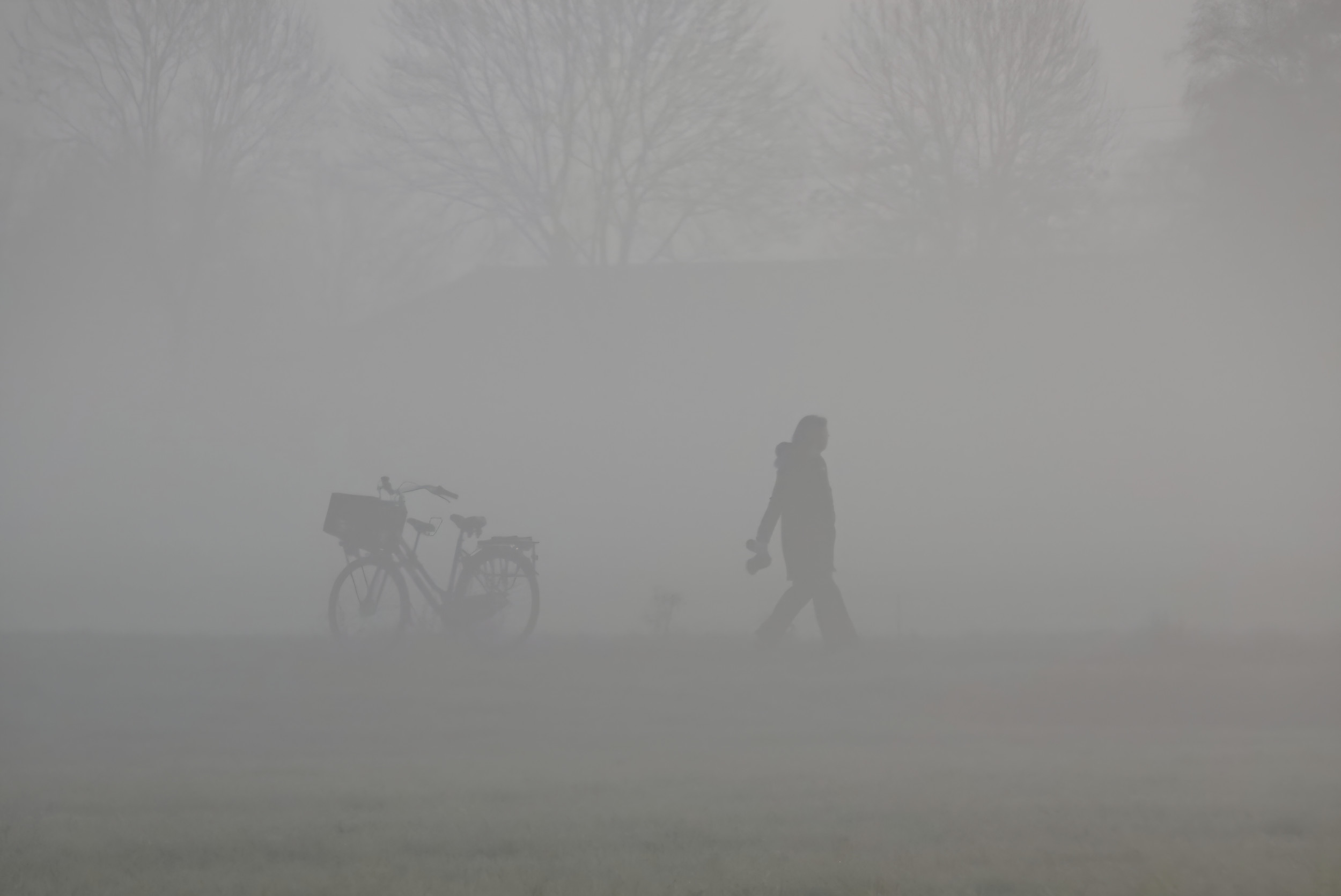 Dit was de somberste winter ooit