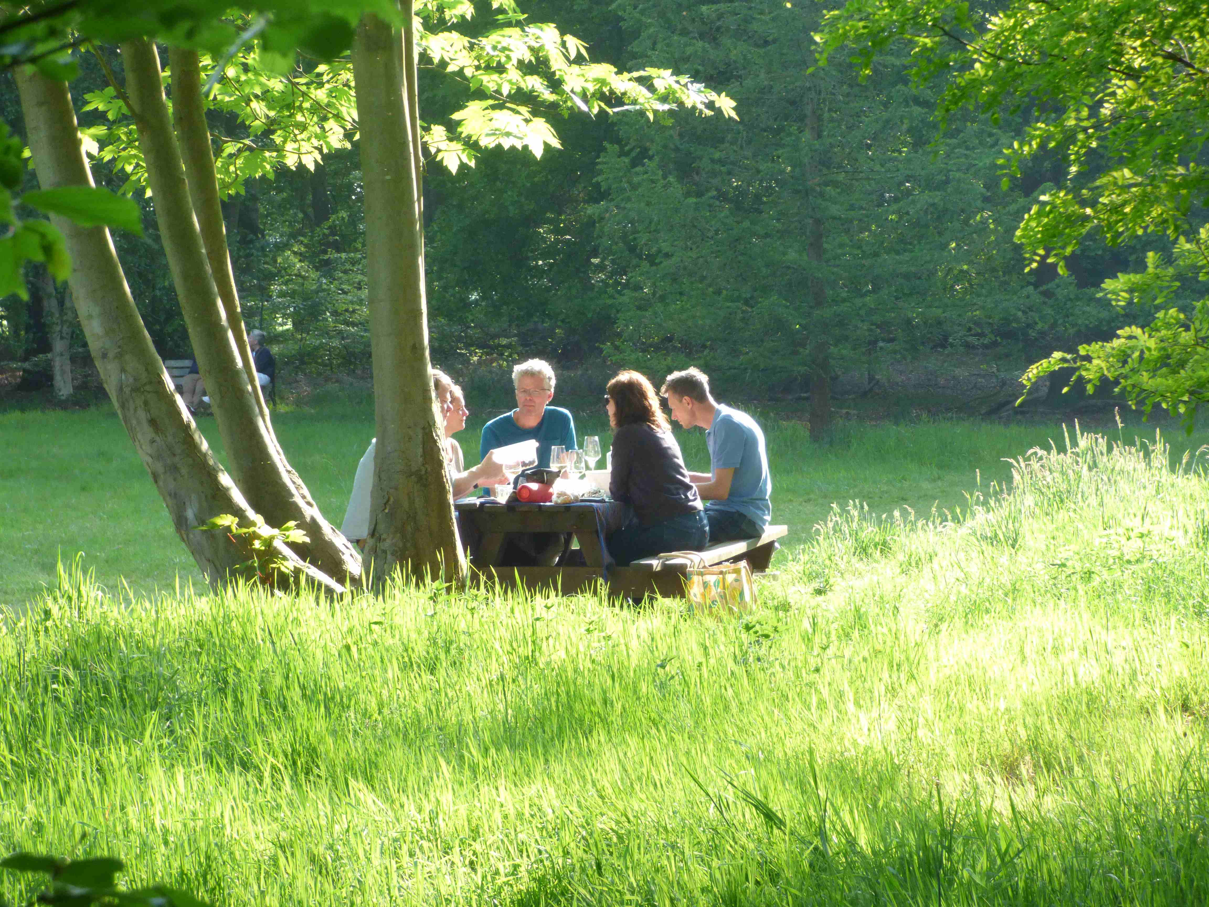 Dit is het beste weer voor een picknick