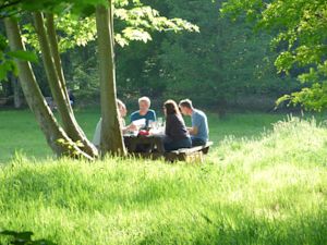 Dit is het beste weer voor een picknick
