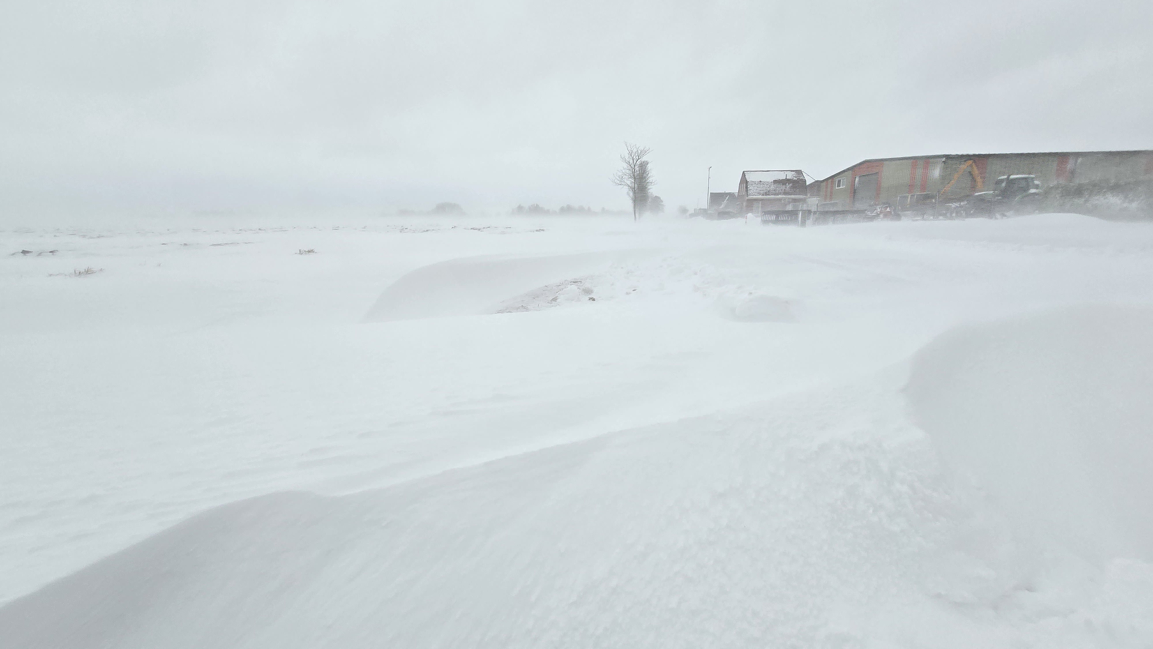 Sneeuwduinen vormen in het noorden van het land. Foto: Jannes Wiersema.