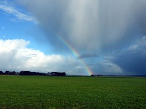 Weekend weer: koud en winderig slotweekend van maart
