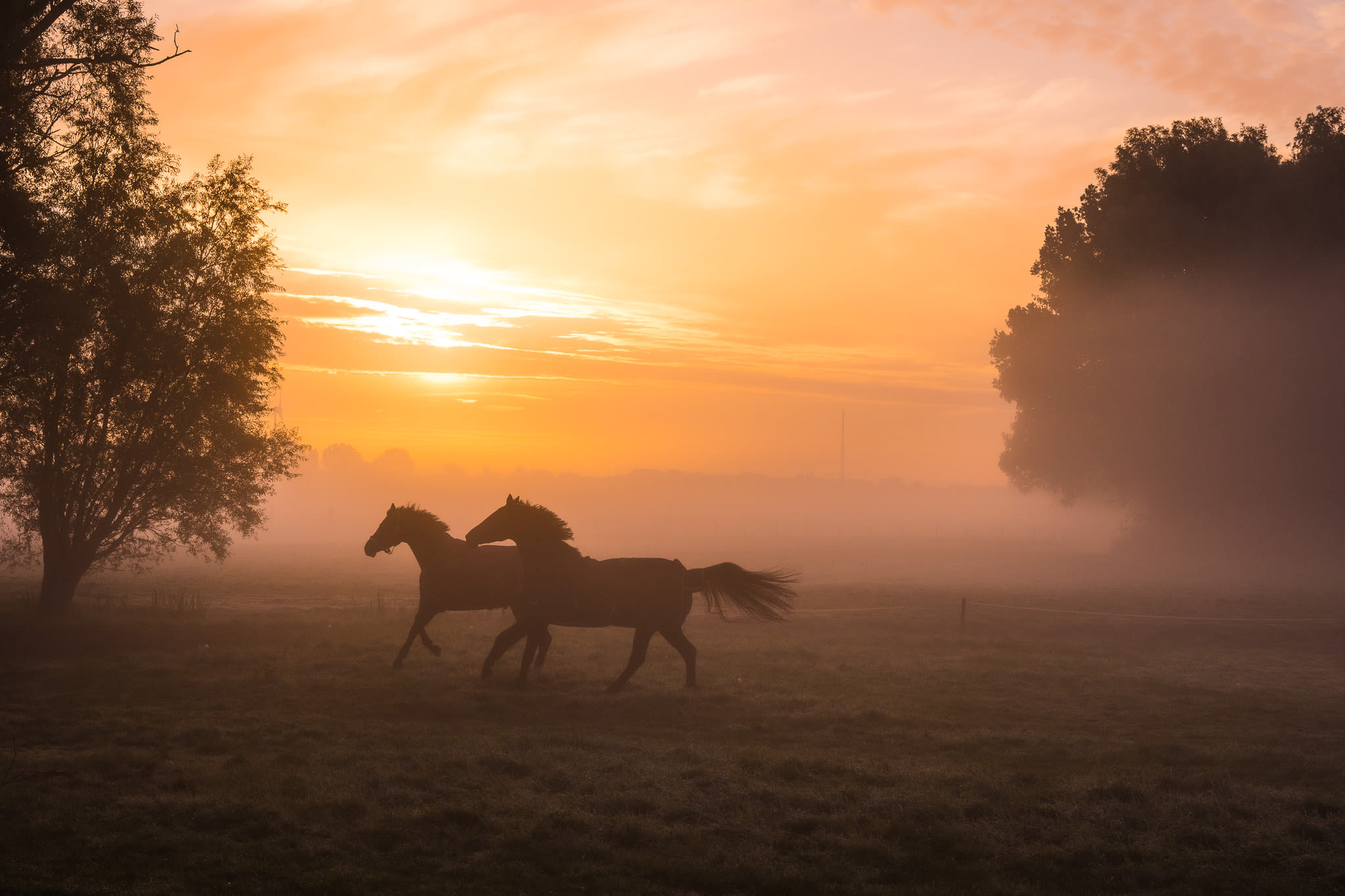Sommige dagen kunnen flink mistig van start gaan. Foto: Jolanda Bijdevier