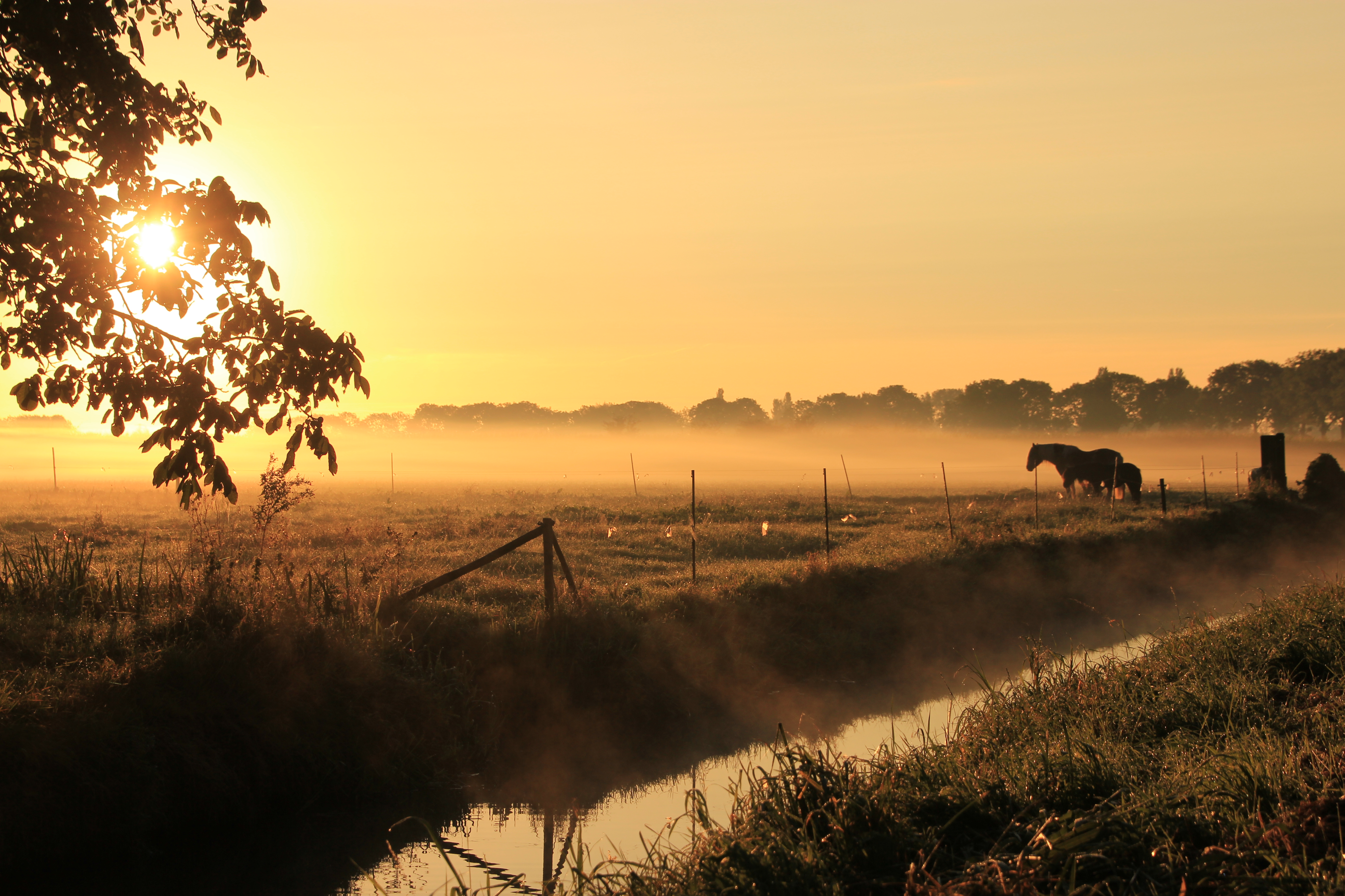 Een mooie zonsopkomst. Foto: Chris Visscher