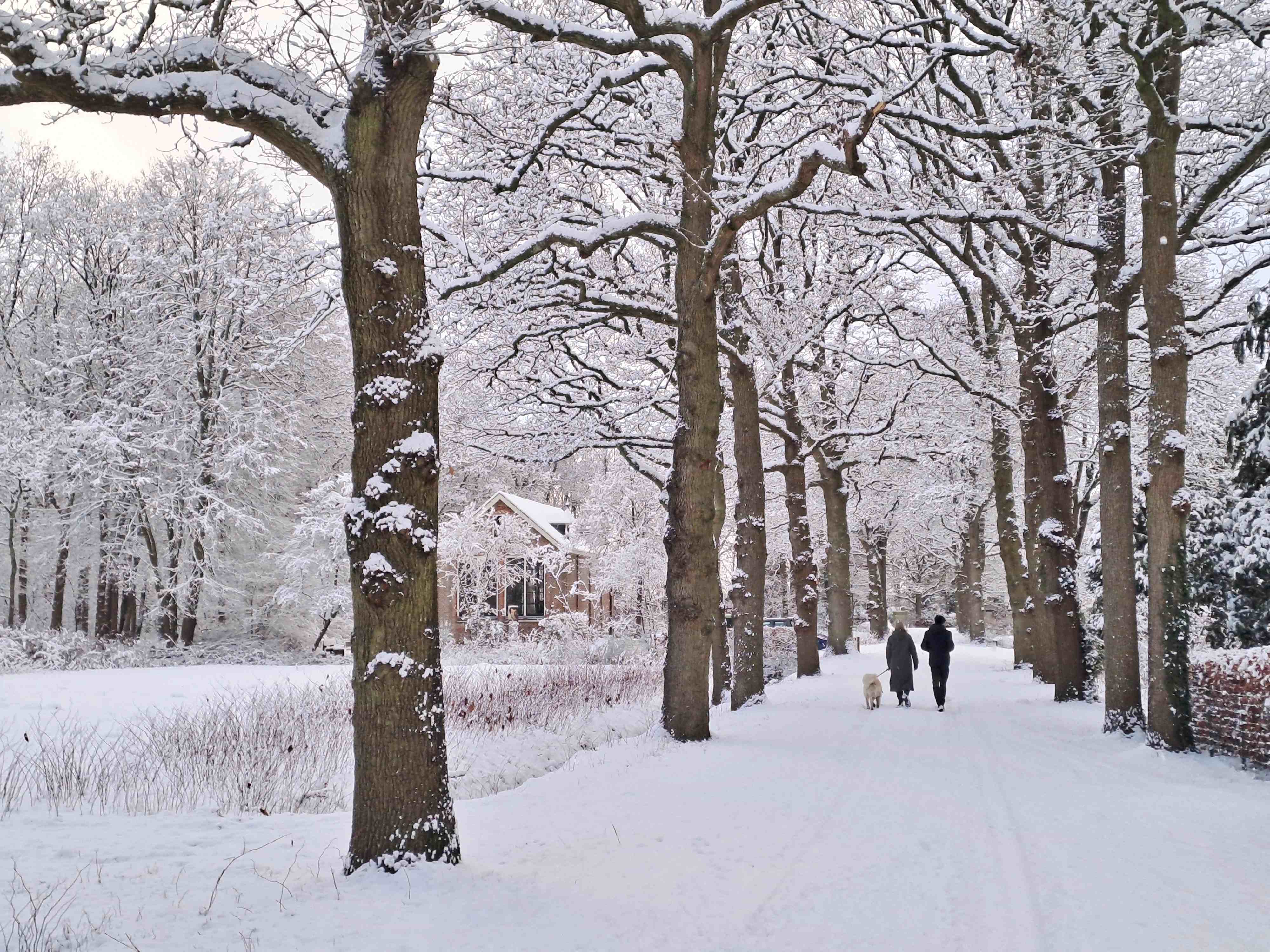 Waarom is het lichter als er sneeuw ligt?
