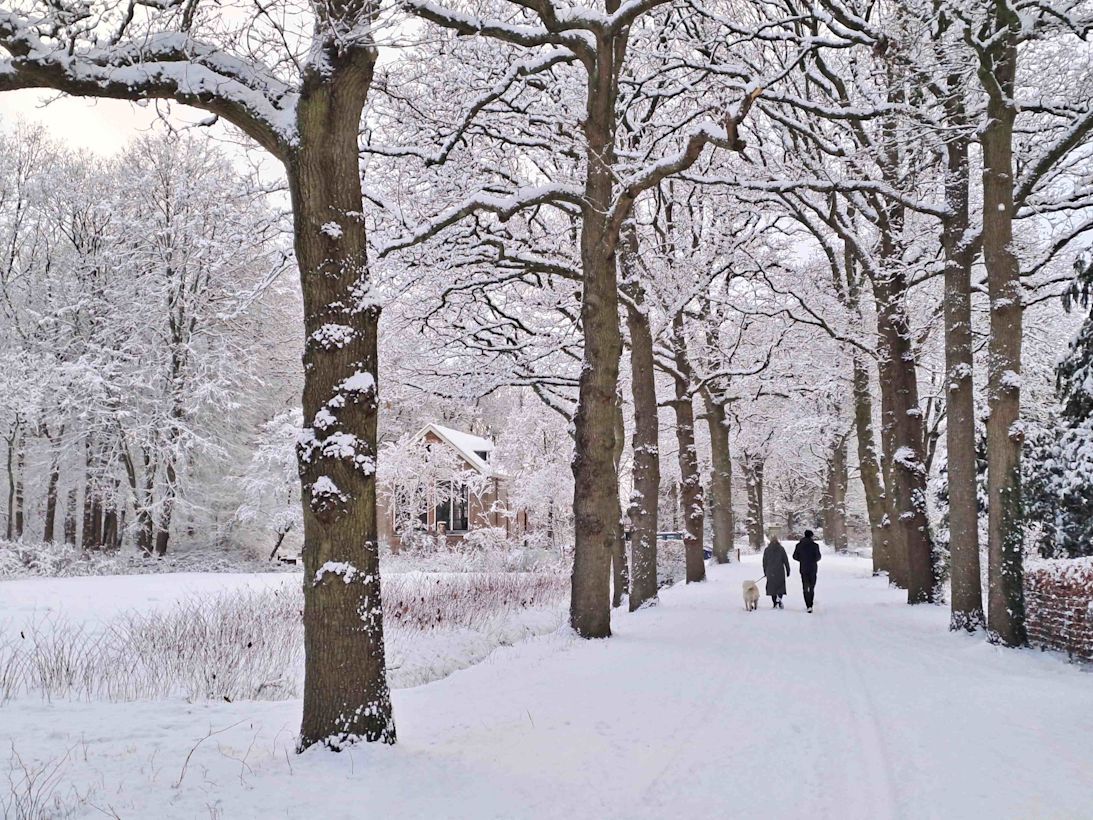 Dinsdag is het heerlijk weer voor een wandeling in de sneeuw. Foto: Hanneke van Doornik