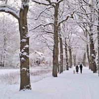 Waarom is het lichter als er sneeuw ligt?