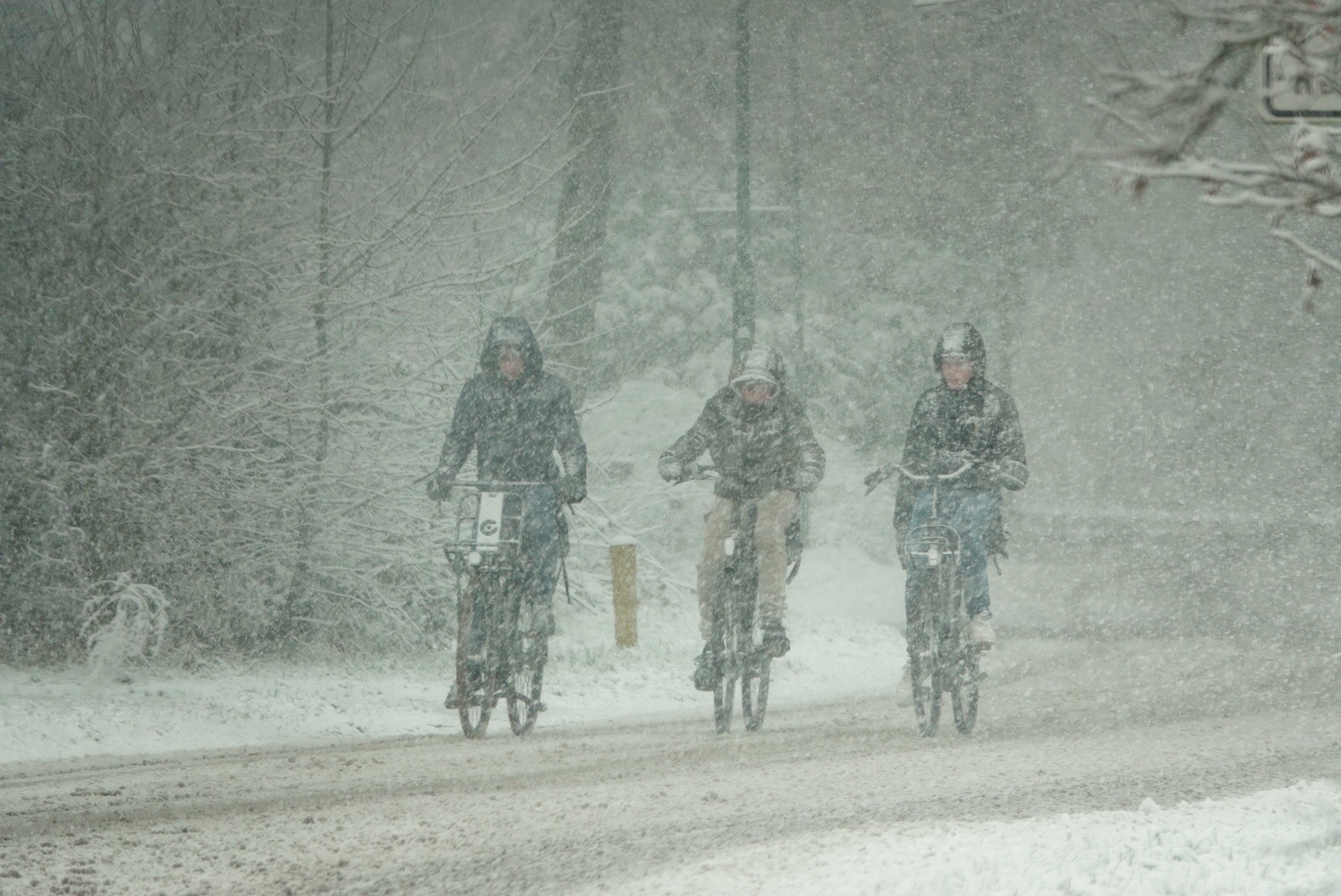 Fietsers in de sneeuw. Foto: Marlies Veugelers
