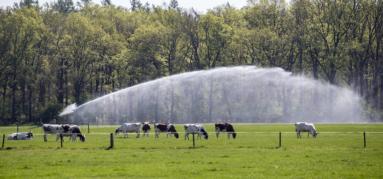 Droogte-nog-niet-voorbij-ondanks-regen-1280x600
