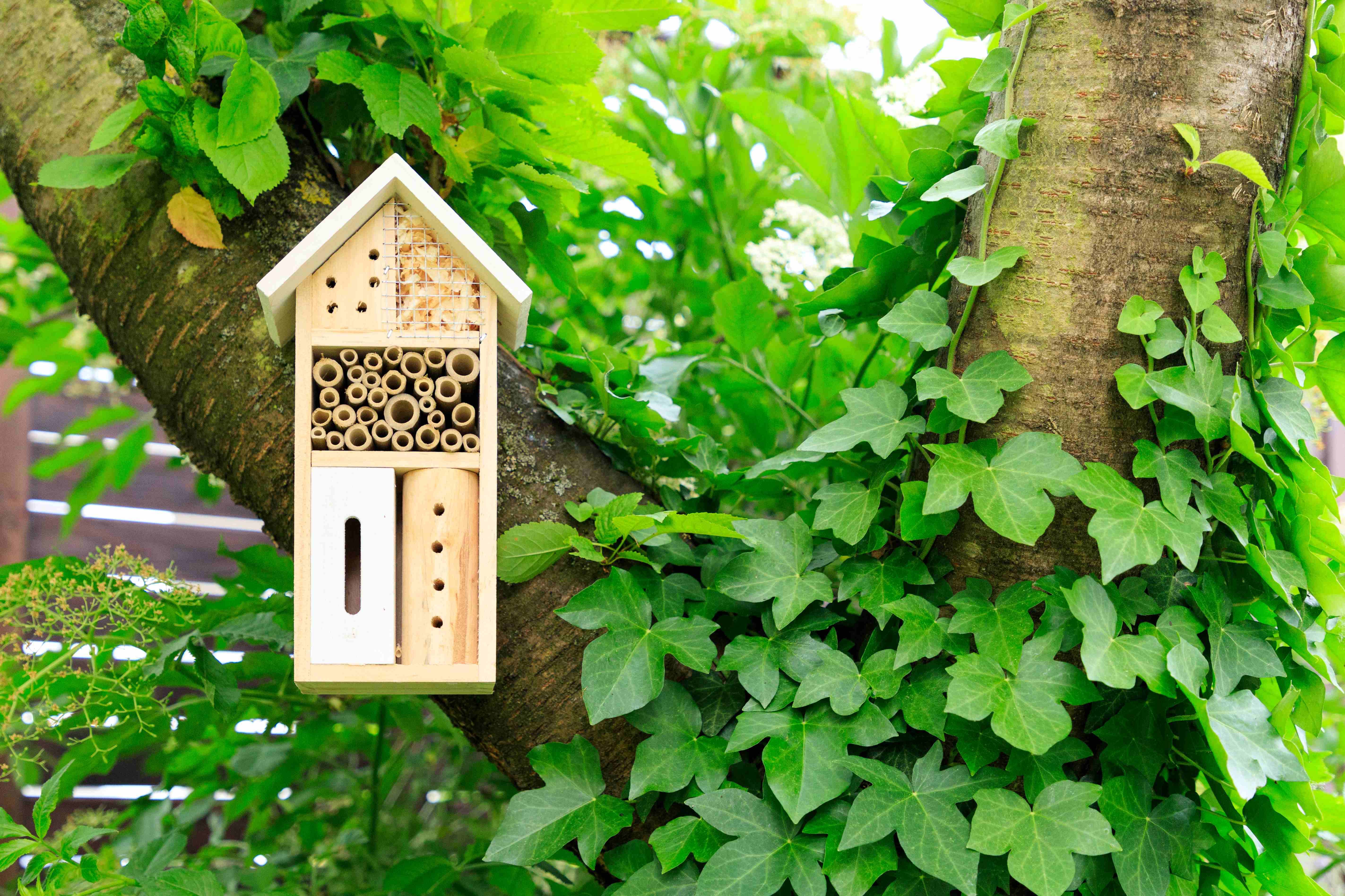 Een bijenhotel zorgt voor onderdak en een plek om te nestelen. Foto: Matthias/Adobe Stock