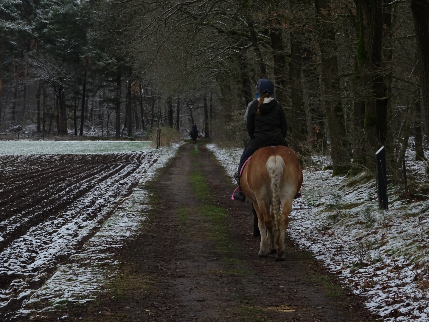 Niet eerder zo koud op 1 april. Foto: Willem van Nunen