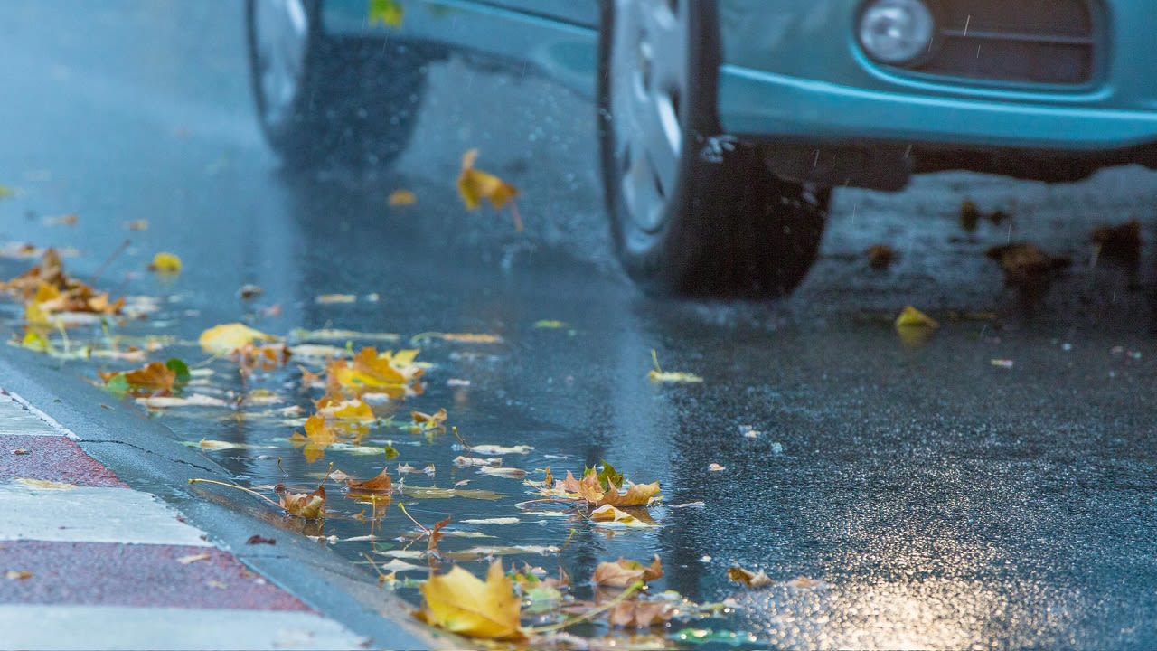 Valt de meeste regen in de herfst? Foto: Ab Donker