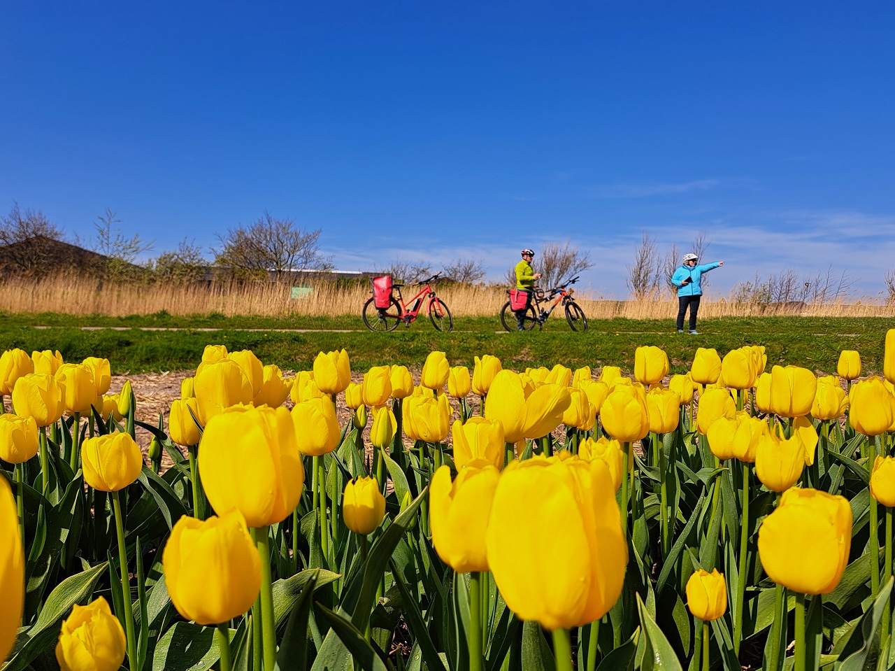 De eerste helft van de lente verloopt recordzacht. Foto: Nel van Es
