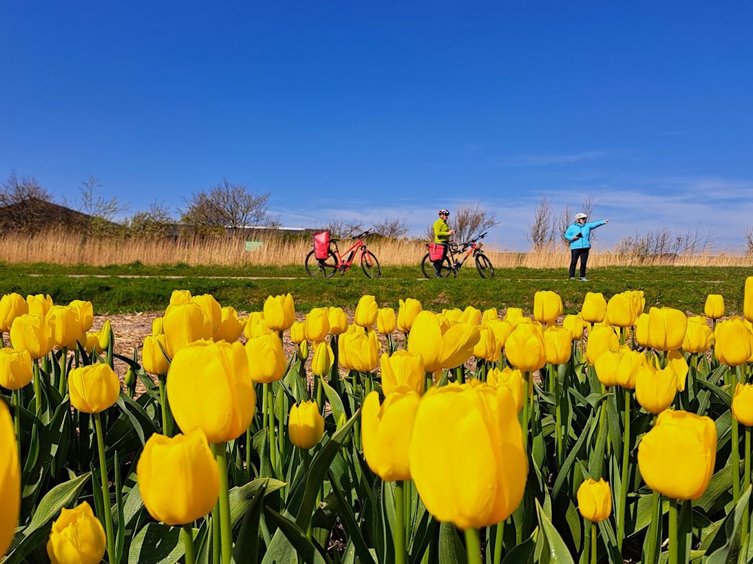 De eerste helft van de lente verloopt recordzacht. Foto: Nel van Es