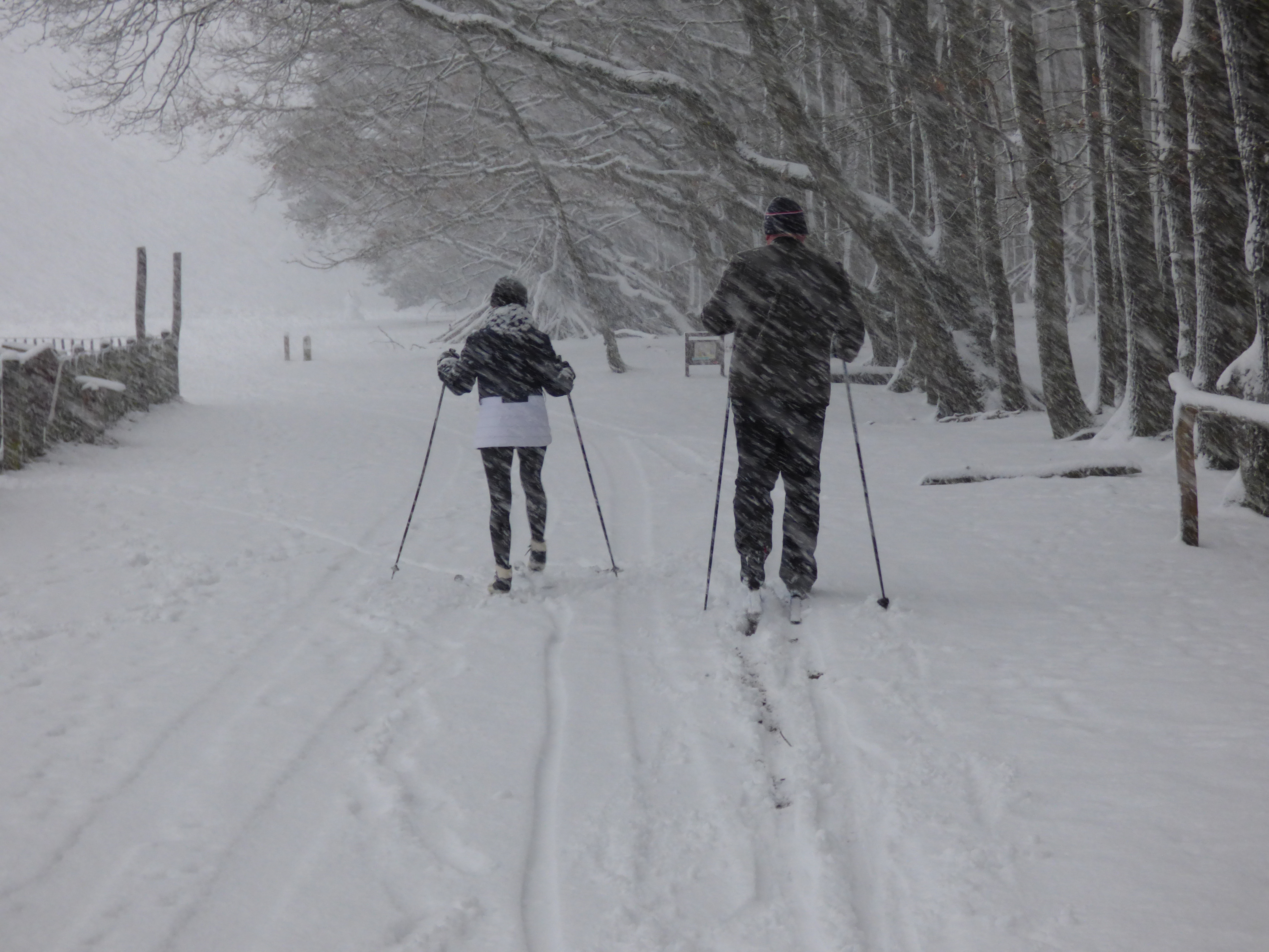 Eerste lokale strenge vorst van deze winter