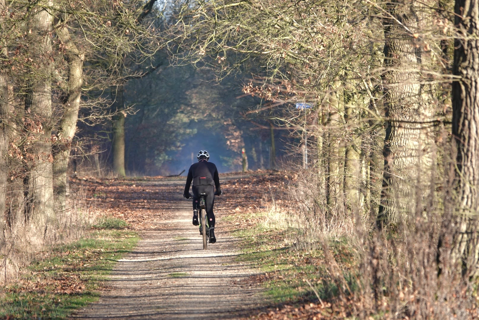 Aankomend weekend is het heerlijk weer om buiten te zijn. Foto: Marlies Veugelers