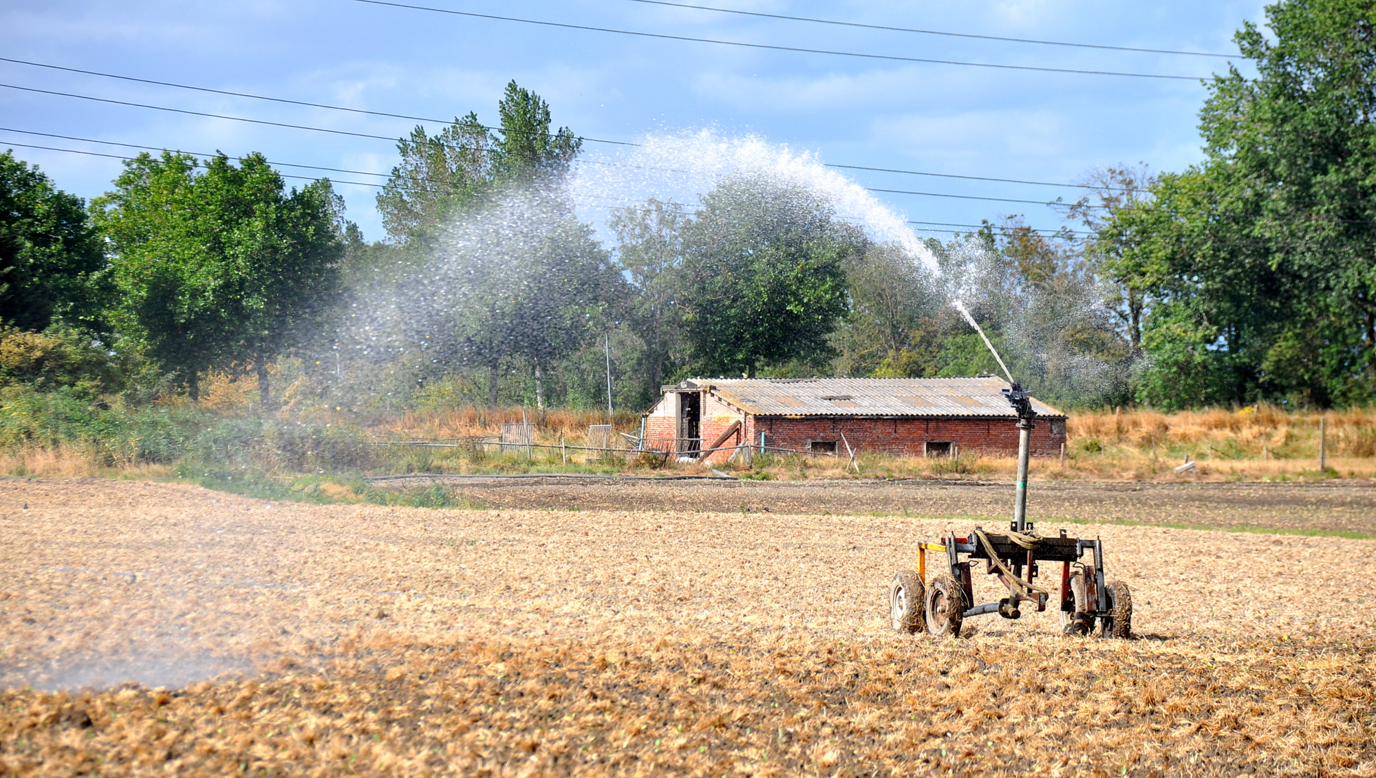 Droogte houdt Nederland in de greep