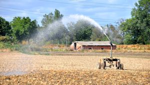Droogte houdt Nederland in de greep