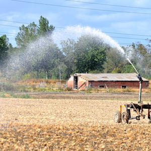 Droogte houdt Nederland in de greep