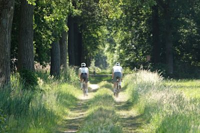 Weekendweer: warm zomerweer of verkoeling en buien?