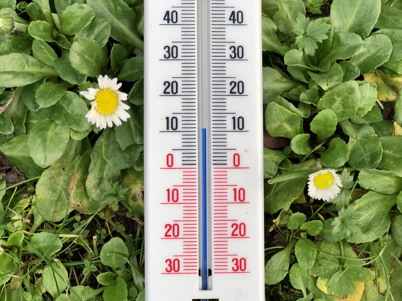De eerste tien dagen van januari verlopen recordwarm. Foto: Jolanda Bakker