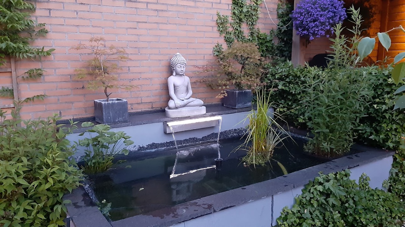 Vijver in je tuin: zo houd je de waterkwaliteit optimaal