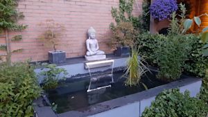 Vijver in je tuin: zo houd je de waterkwaliteit optimaal
