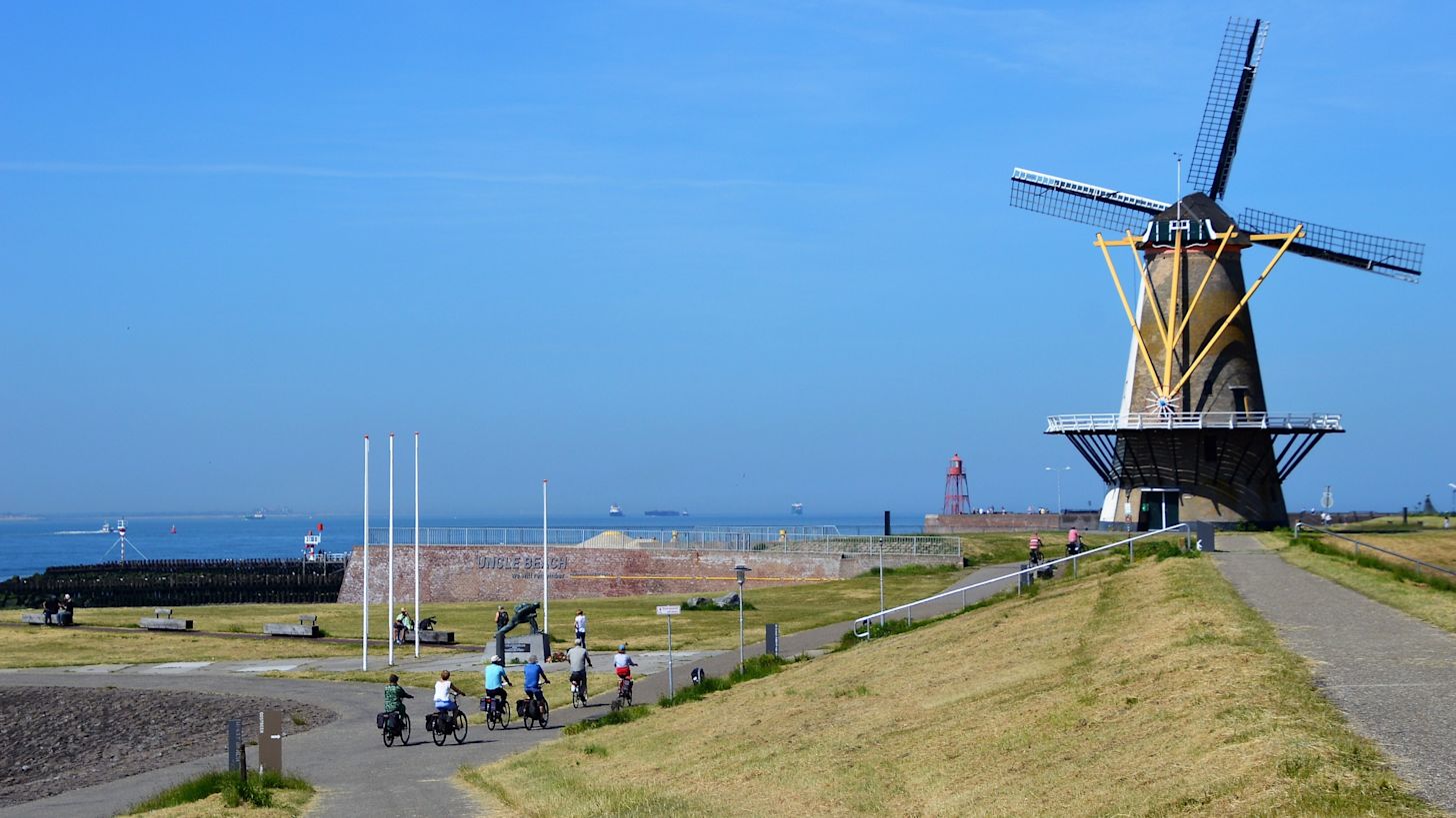 Fietsers in Zeeland in de buurt van Vlissingen tijdens een warme zomerdag.
Foto: Anne-Marie van Iersel