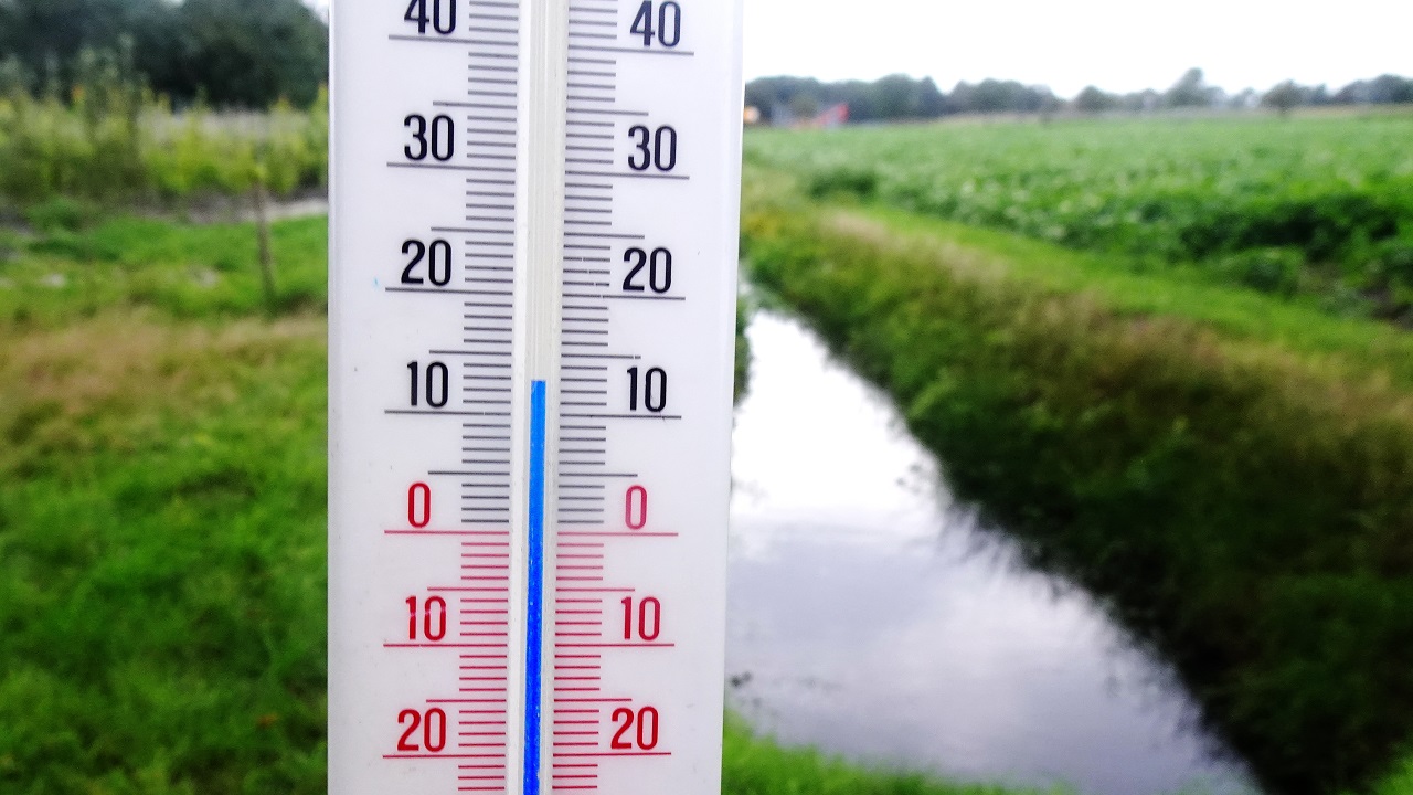 De temperatuur bleef onder de 15 graden. Foto: Peter van der Schoot