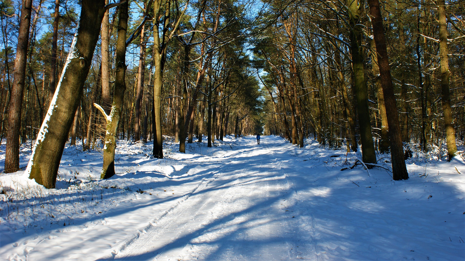 Vijf tips voor hardlopen in de winter