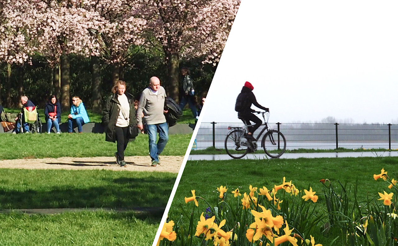 Lenteverwachting: zo groot is de kans op een zonnige en warme lente