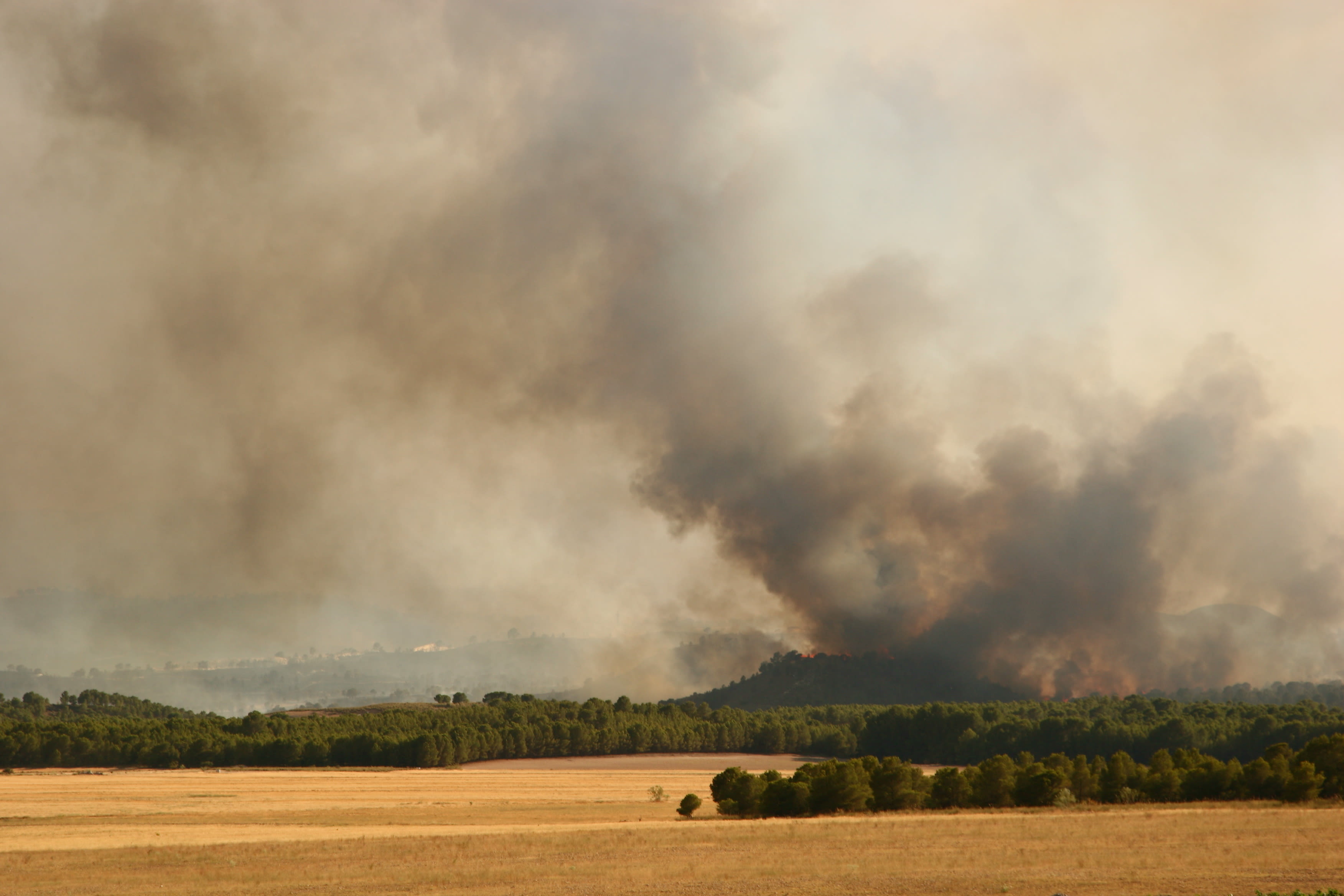 Droogte in Spanje - Aanhoudende hitte - Gevaar op bosbranden