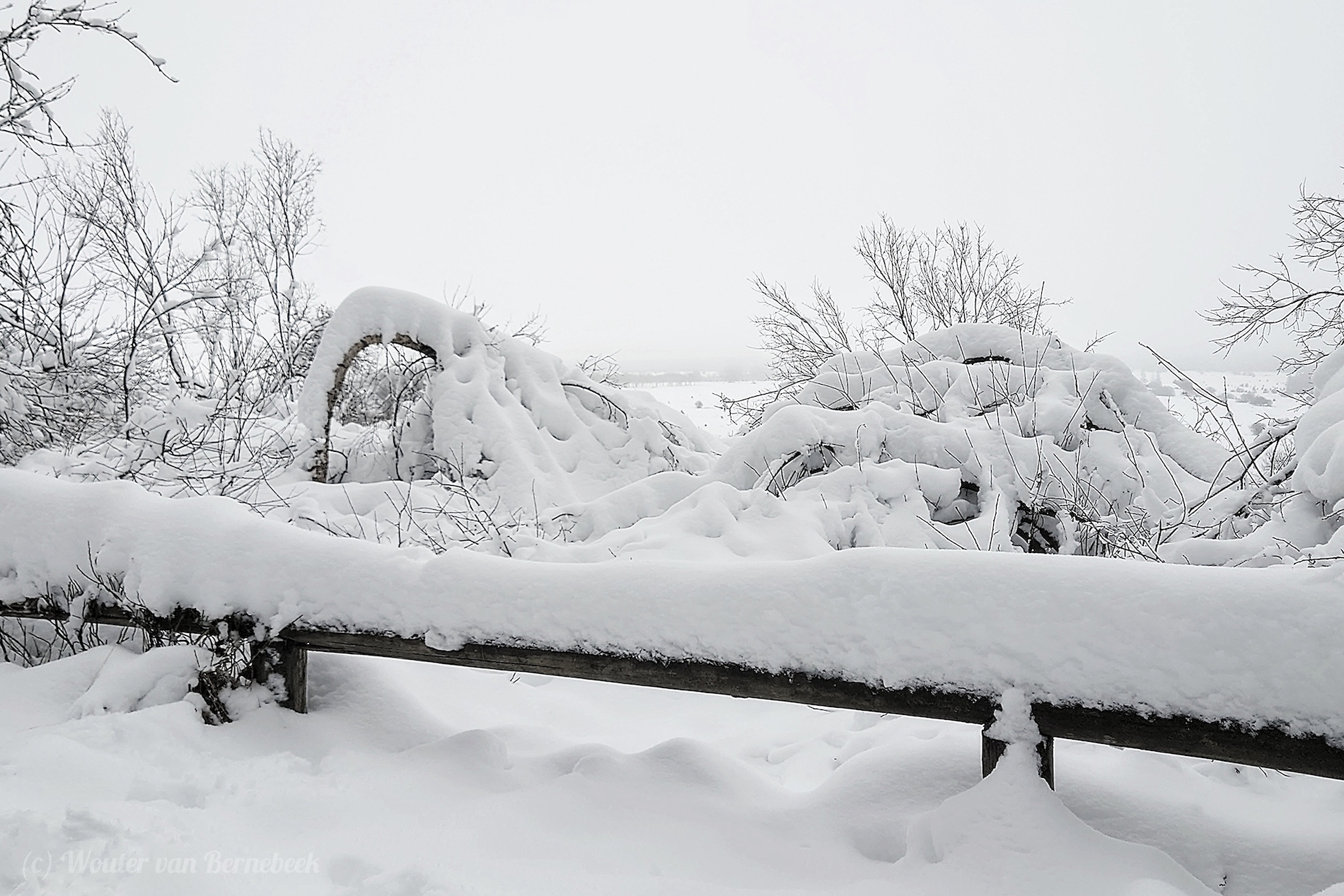 Dik pak sneeuw in de Ardennen (Mont Rigi) in 2022. Foto: Wouter van Bernebeek