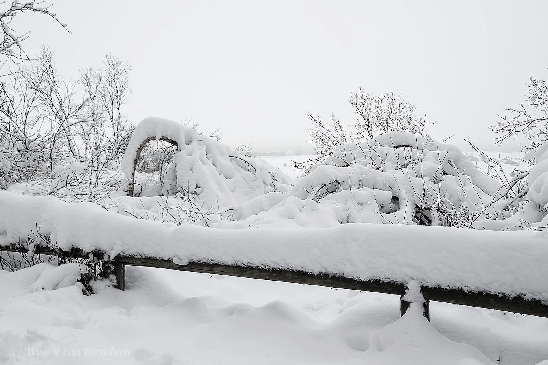 Dik pak sneeuw in de Ardennen (Mont Rigi) in 2022. Foto: Wouter van Bernebeek