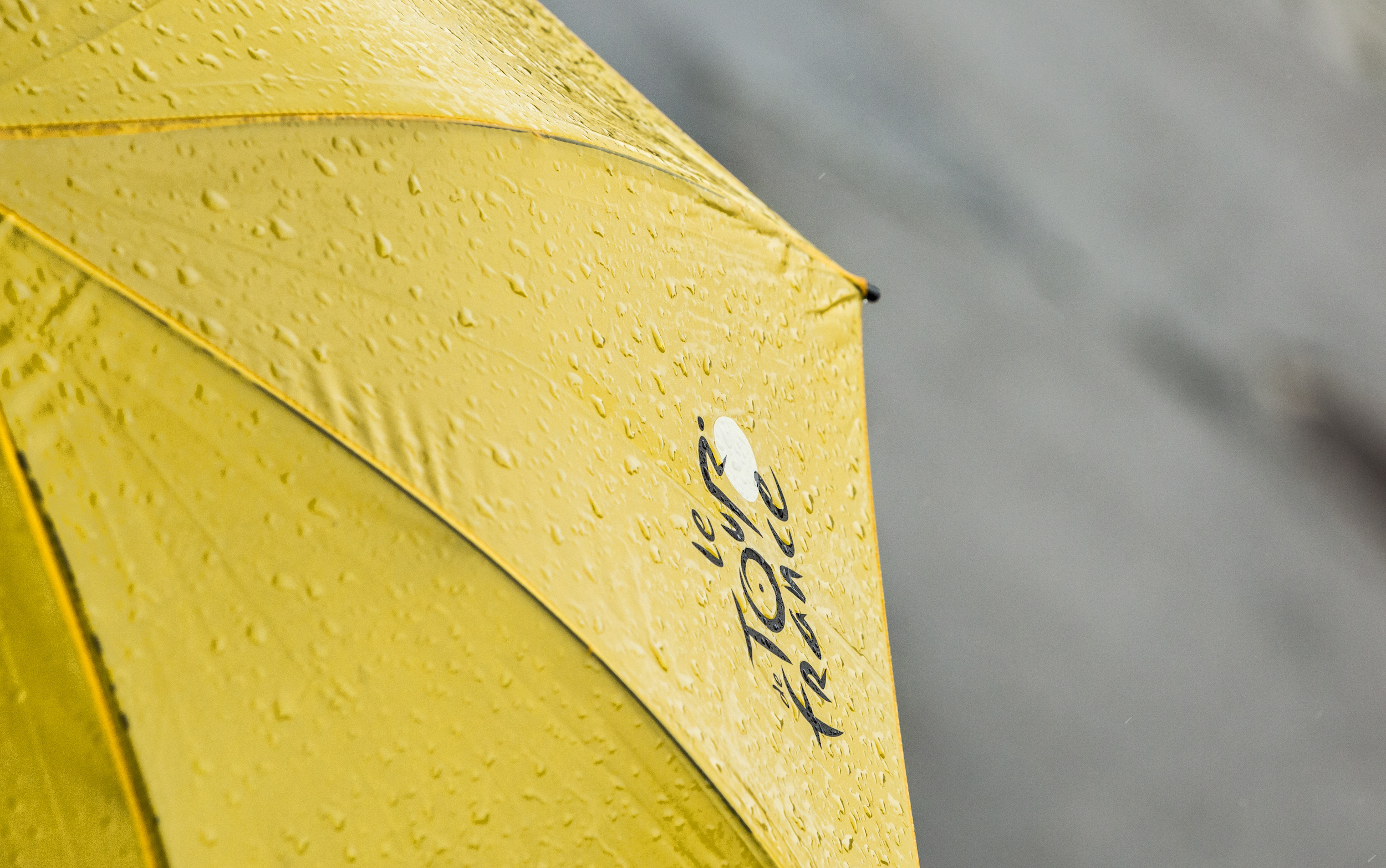 Foto: AdobeStock / Radu Ravan