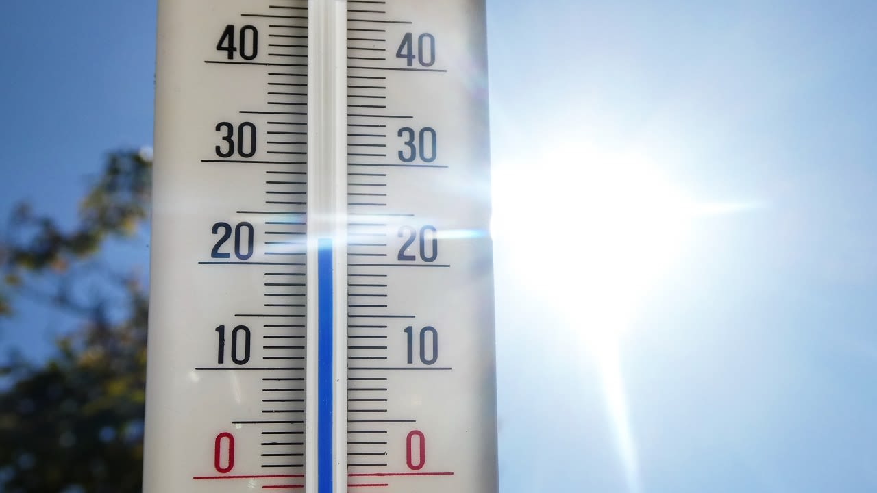 Op maar liefst 28 dagen steeg de temperatuur deze maand tot boven 20 graden in De Bilt. Foto: Peter van der Schoot.