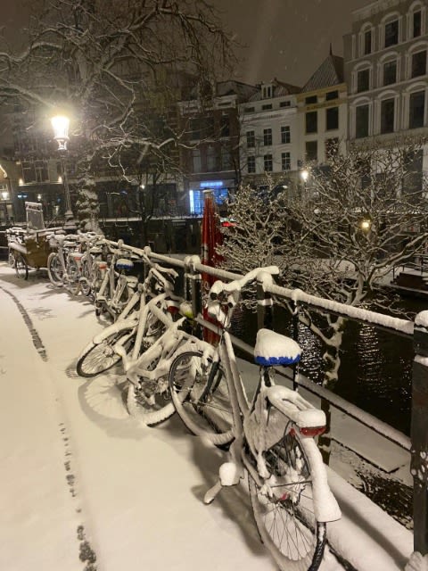 Vroeg uit de veren tijdens sneeuwstorm Darcy op 7 februari 2021 in Utrecht. Foto: Berend van Straaten